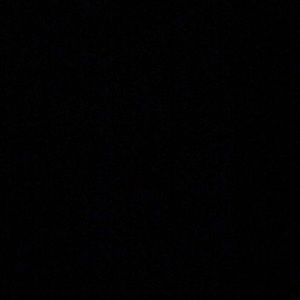 Meet your Posher, Sandy